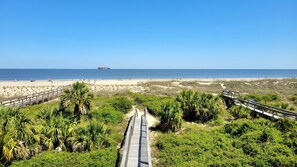 A beach pathway leading to the ocean with a ship in the distance.