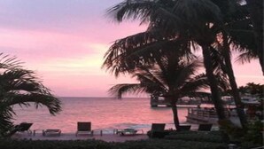 Vista da praia com palmeiras e espreguiçadeiras.