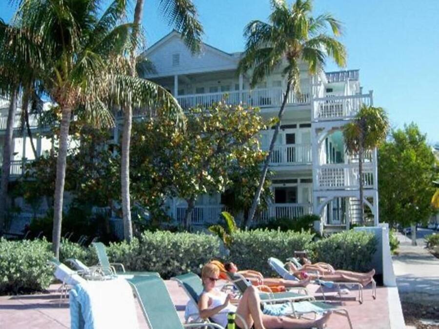 A pool area with lounge chairs and palm trees.