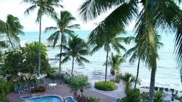 Área de piscina com espreguiçadeiras e palmeiras, com vista para o oceano.