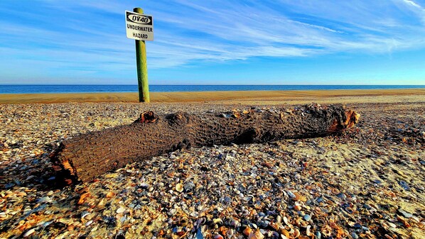 Une plage avec un panneau indiquant un danger sous-marin et une grosse bûche recouverte de coquillages.