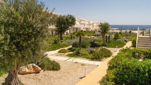 Et resort med en sti, der fører til en bygning, omgivet af grøn vegetation og kaktusplanter.