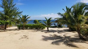 Ein Strand mit Palmen und freiem Blick auf den Ozean.