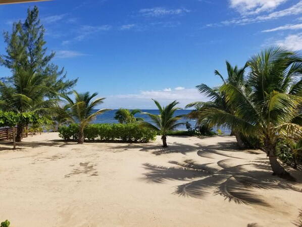 On the beach, sun loungers, beach towels