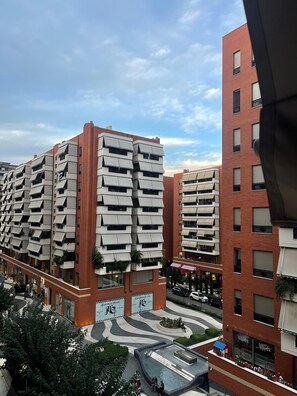 Vista del balcón