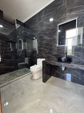 Shower, towels, toilet paper