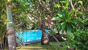 A lush garden with a swimming pool, palm trees, and various plants.