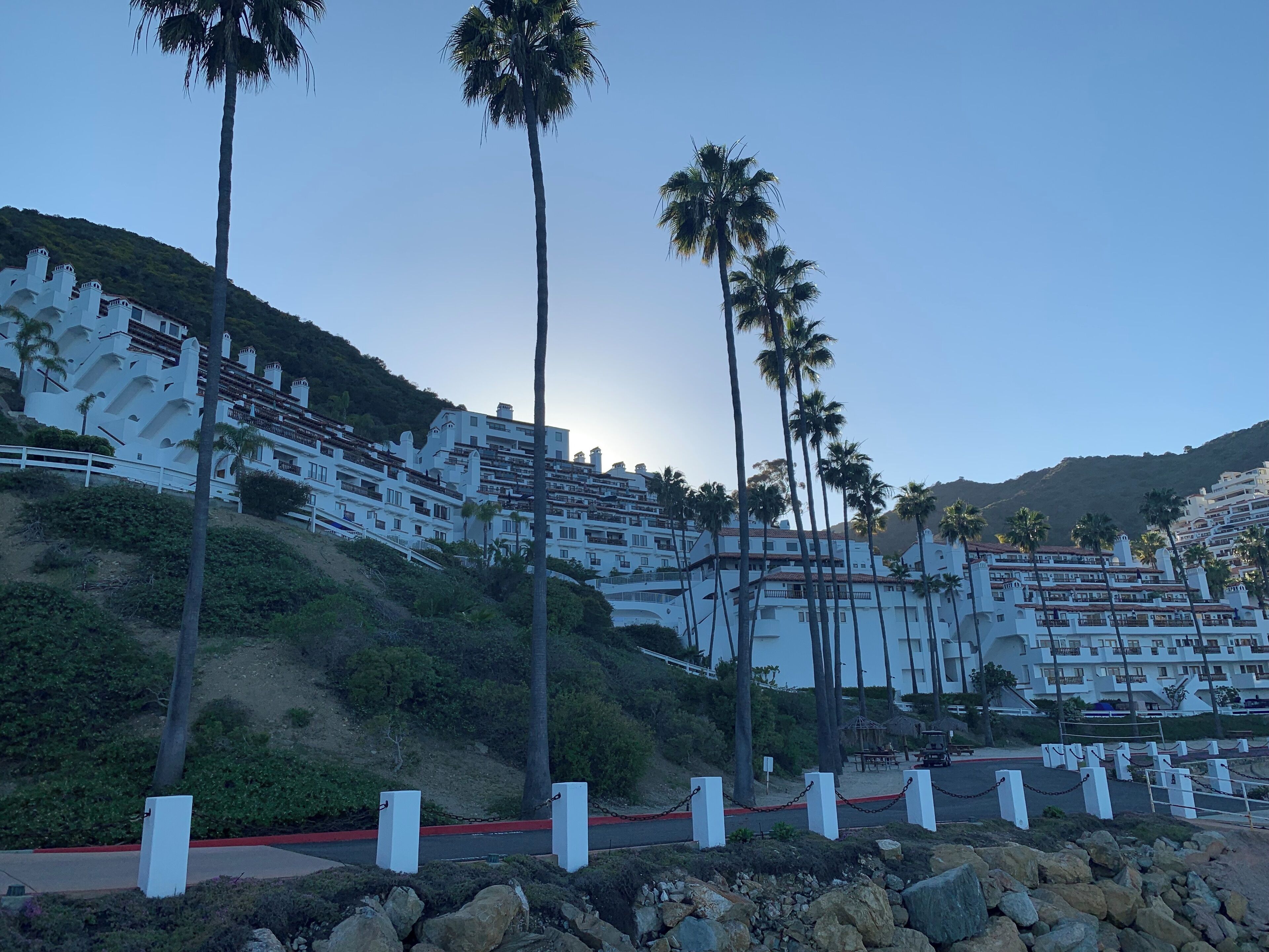 Un hotel en una ladera con varias edificaciones blancas, palmeras y un primer plano rocoso.