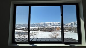 Ein Fenster mit Blick auf schneebedeckte Berge und einen klaren Himmel.