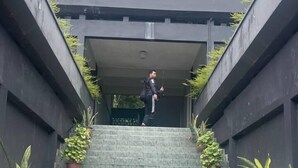 A person descending a set of stairs with potted plants on either side.