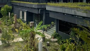 A modern building with multiple levels and a rooftop garden.