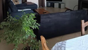 A modern living room with a sofa, a TV, a wooden coffee table, and a potted plant. - Spacious "la falaise" house in the beautiful listed village of Balazuc (Balazuc)
