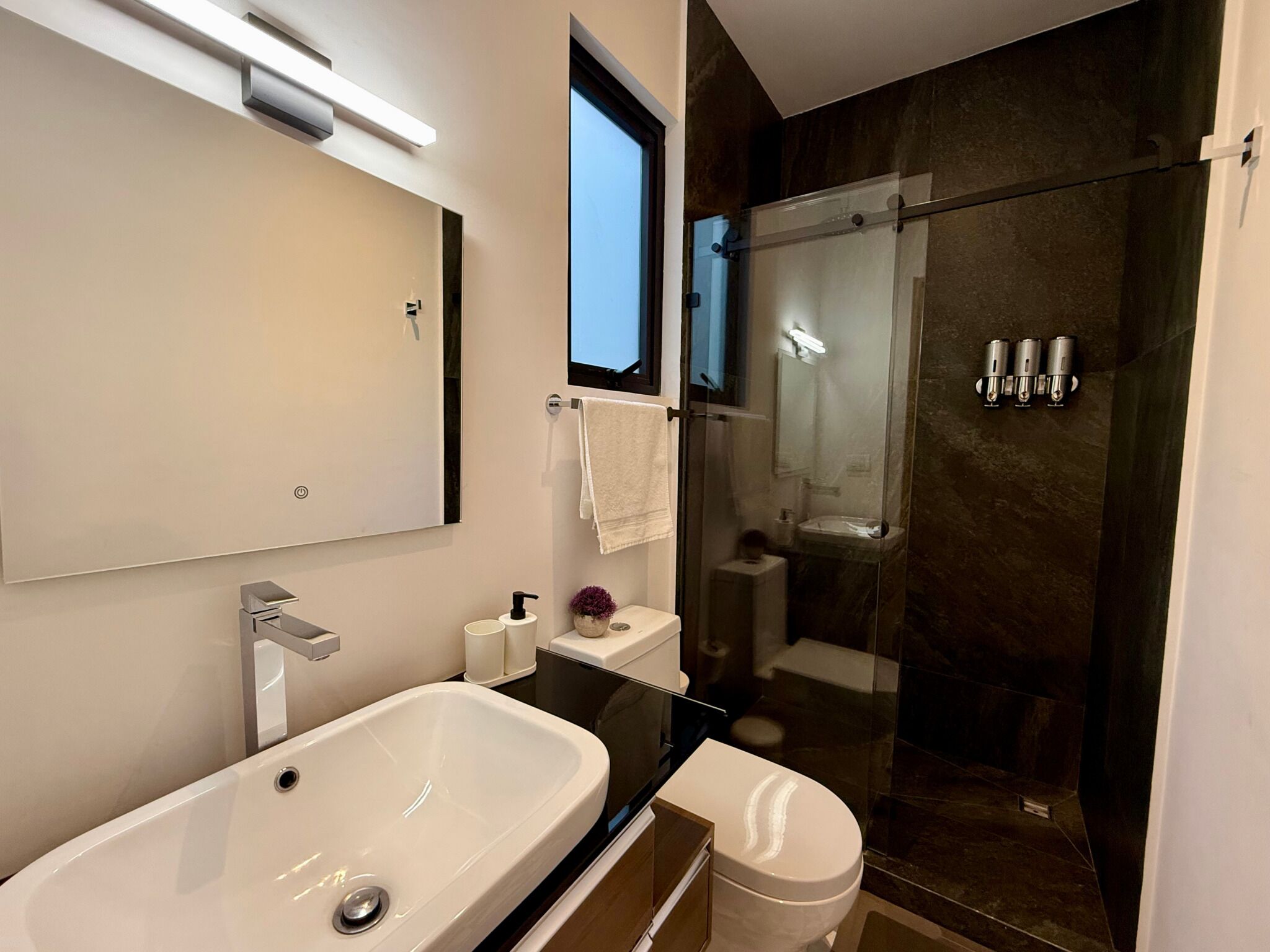 Shower, hair dryer, towels, soap