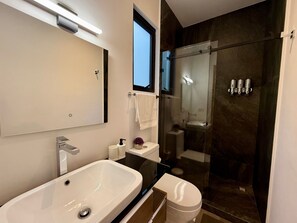 Shower, hair dryer, towels, soap