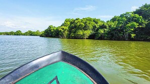 Una embarcación en un río rodeado de abundante vegetación verde.