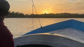 Paseos en bote