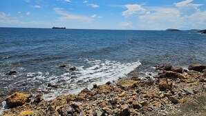 A rocky shoreline with clear blue water and a distant ship.
