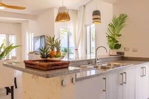 Fridge, oven, stovetop, cookware/dishes/utensils