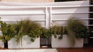 Een zwembad met helder water, omringd door witte plantenbakken met groene planten.