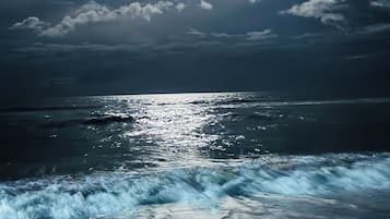 Playa en los alrededores y camastros