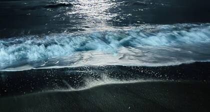 “AH!” Spring is calling! Kitesurfing, paddle board, kayaking…endless activities