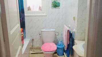 Asciugacapelli, asciugamani, sapone, carta igienica