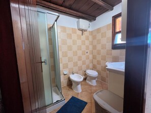 Shower, hair dryer, bidet, towels