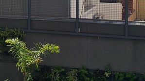 デラックス スタジオ | 施 設の敷地