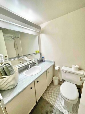 Hair dryer, towels, soap, toilet paper