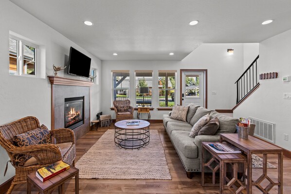 TV, fireplace, books