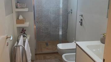 Shower, hair dryer, bidet, towels