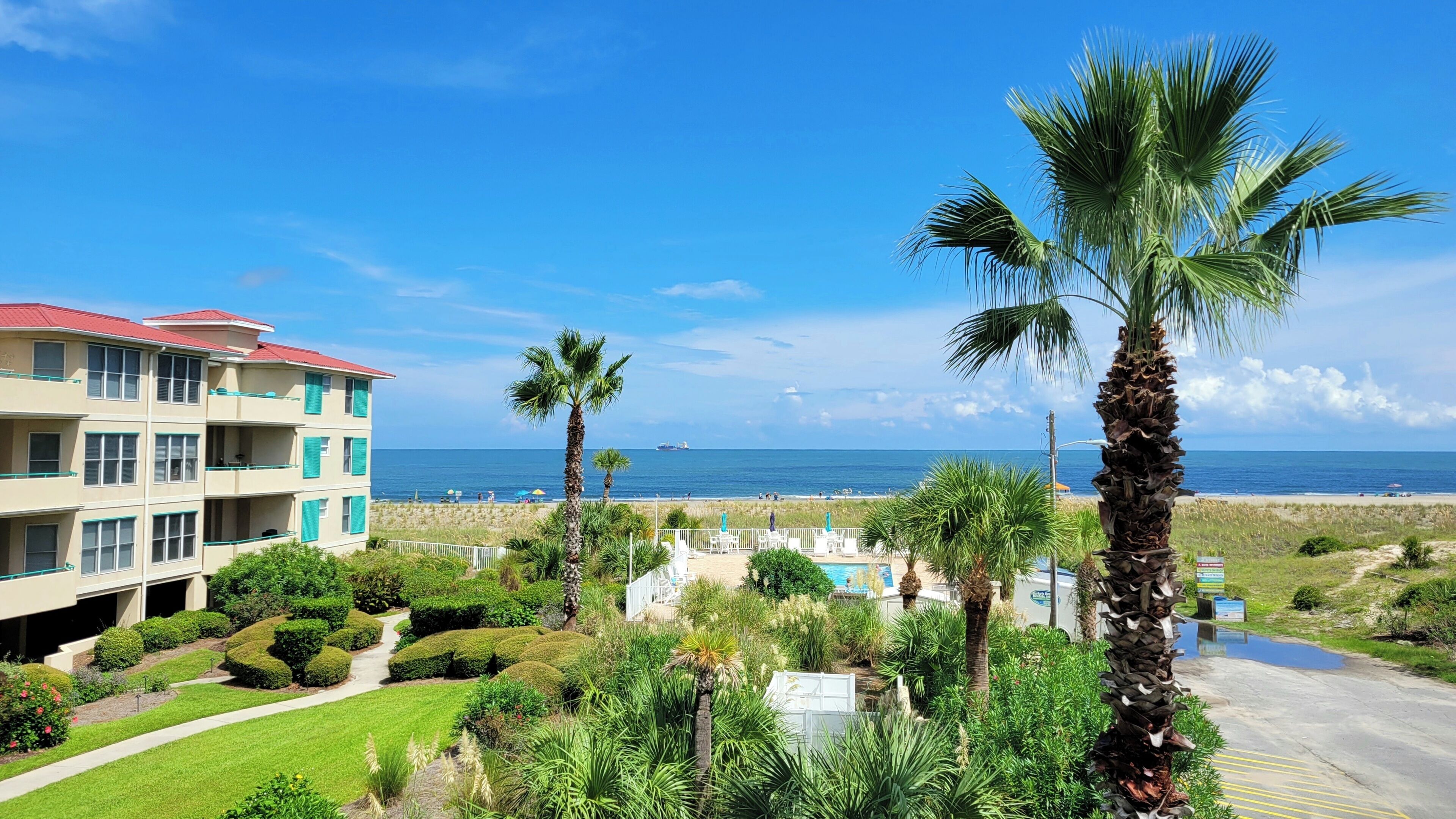 A beachfront hotel with a pool, palm trees, and ocean views.