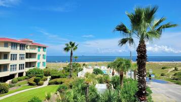 A beachfront hotel with a pool, palm trees, and ocean views.