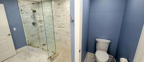 Une salle de bain avec une douche à parois de verre, des toilettes et une porte blanche.