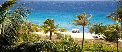 Condo (5 Bedrooms) | Beach | On the beach, white sand, surfing, kayaking