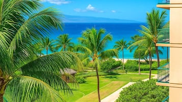 Condo (5 Bedrooms) | View from room