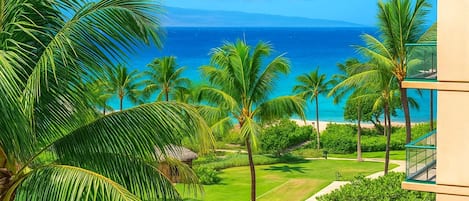 Condo (4 Bedrooms) | View from room