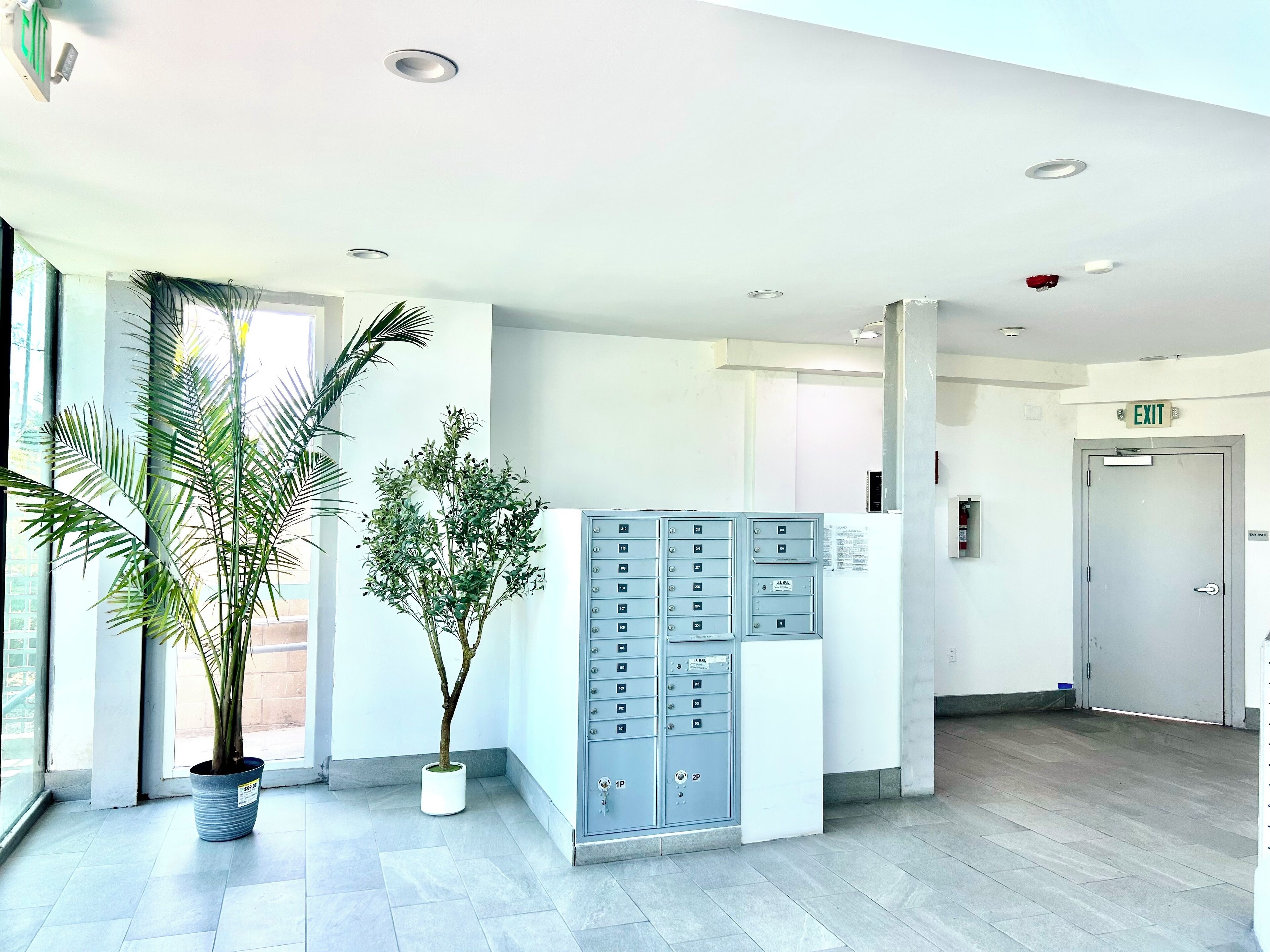 Eine moderne Lobby mit einer großen Topfpflanze, einem Metall-Aktenregal und einer Ausgangstür.