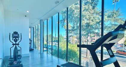 Charming Glass-Front One Bedroom Spacious Living Free Parking