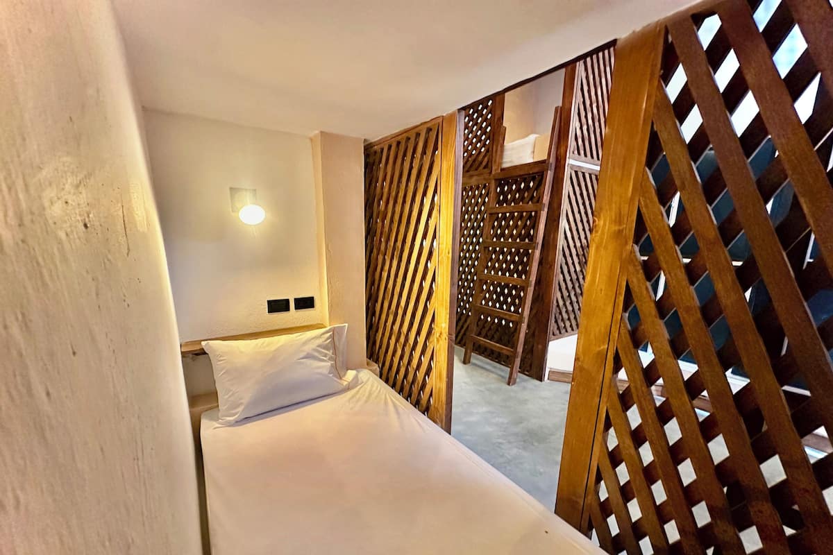 Mixed Shared Dormitory, (Mixed, Shared Bathroom, 4 beds)