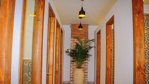 A hallway with wooden doors, a brick wall, and a large potted plant.