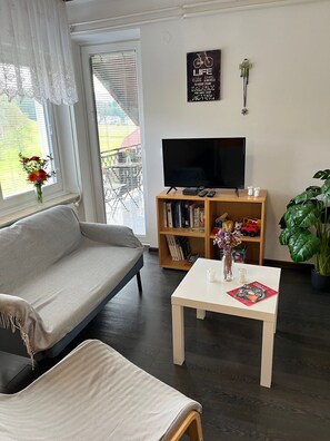TV