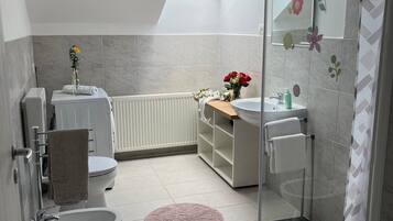 Shower, hair dryer, bidet, towels