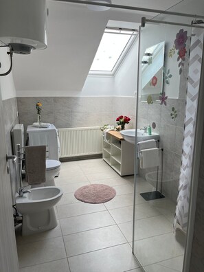 Shower, hair dryer, bidet, towels