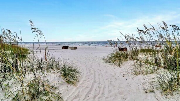 A sandy beach path leading to the ocean, surrounded by tall grasses and a clear sky.