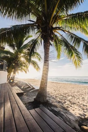 Ett trädäck som leder ner till en strand med en palm och utsikt över havet.