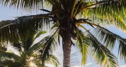 3 Bedroom Beach Front Apartment at Playa Escondida Beach Club