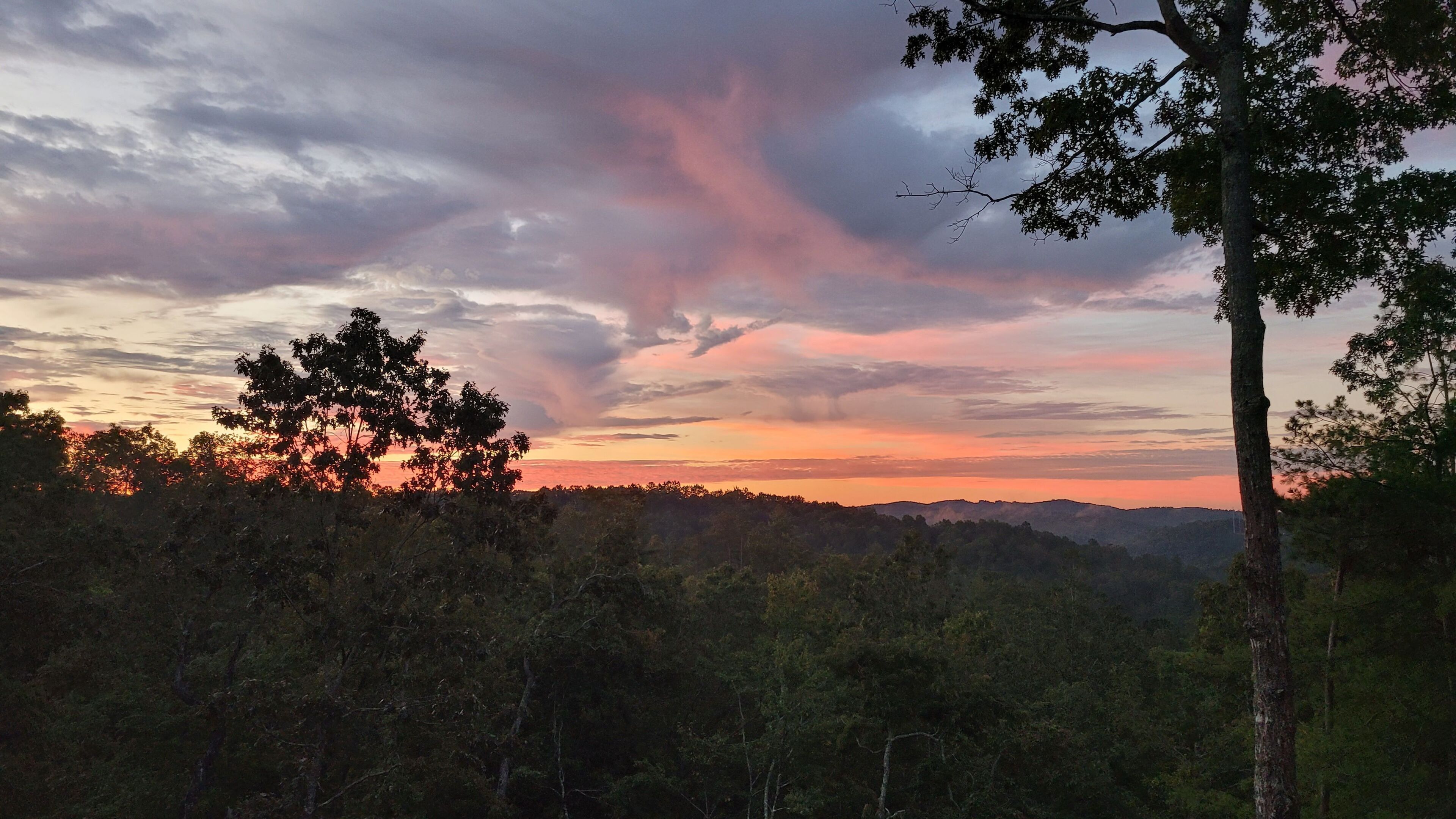 Un paisaje boscoso con cielo despejado y un atardecer.