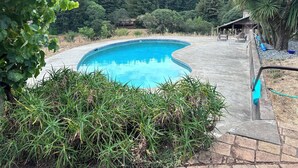 A swimming pool with a curved edge, surrounded by greenery and a forested area in the background.