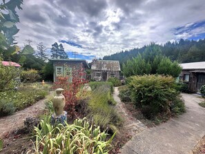 Property grounds - Private Anderson Valley Retreat w/ Pool & Redwood Forest Views (Philo)